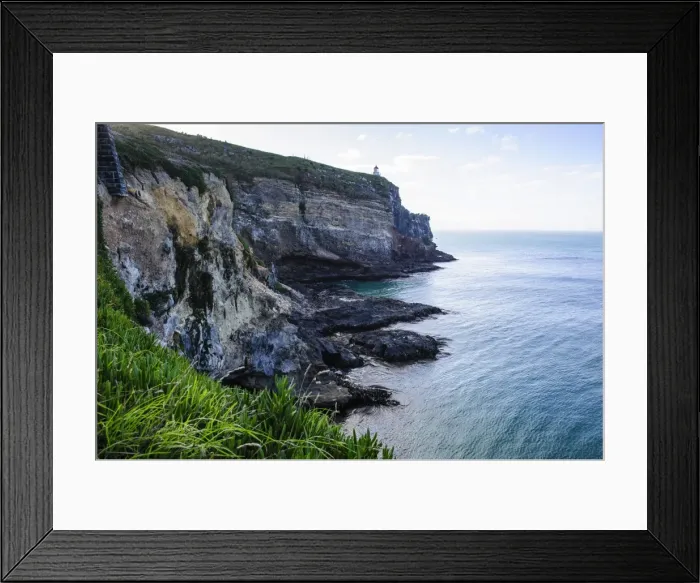 Framed Print : Steep cliffs at Taiaroa Head, Otago Peninsula, South Island, New Zealand, Pacific Framed Print : Steep cliffs at Taiaroa Head, Otago Peninsula, South Island, New Zealand, Pacific