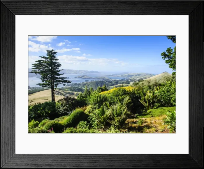 Framed Print : View from Larnach Castle over the Otago Peninsula, South Island, New Zealand, Pacific Framed Print : View from Larnach Castle over the Otago Peninsula, South Island, New Zealand, Pacific