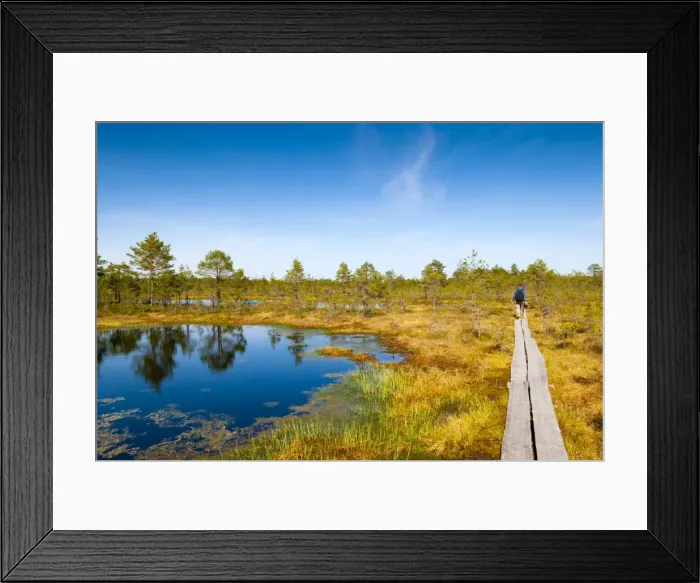 Framed Print : Viru Bog (Viru Raba) peat swamp, Lahemaa National Park, Harjumaa, Laane-Virumaa, Estonia, Baltic States, Europe Framed Print : Viru Bog (Viru Raba) peat swamp, Lahemaa National Park, Harjumaa, Laane-Virumaa, Estonia, Baltic States, Europe