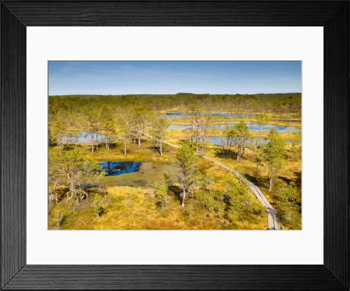 Framed Print : Viru Bog (Viru Raba) peat swamp, Lahemaa National Park, Harjumaa, Laane-Virumaa, Estonia, Baltic States, Europe Framed Print : Viru Bog (Viru Raba) peat swamp, Lahemaa National Park, Harjumaa, Laane-Virumaa, Estonia, Baltic States, Europe