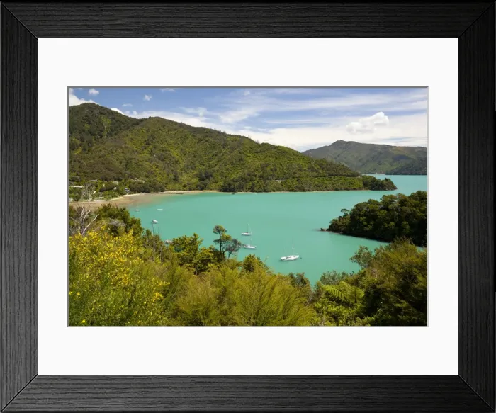 Framed Print : Ngakuta Bay, Queen Charlotte Sound, near Picton, Marlborough Region, South Island, New Zealand, Pacific Framed Print : Ngakuta Bay, Queen Charlotte Sound, near Picton, Marlborough Region, South Island, New Zealand, Pacific