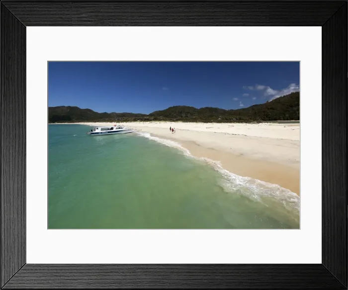 Framed Print : Awaroa beach, Abel Tasman National Park, Nelson region, South Island, New Zealand, Pacific Framed Print : Awaroa beach, Abel Tasman National Park, Nelson region, South Island, New Zealand, Pacific