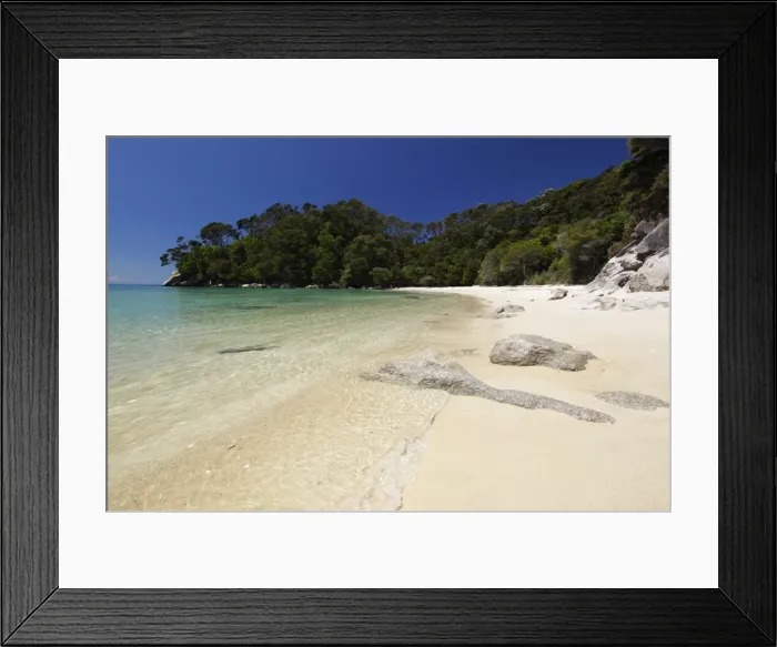 Framed Print : Frenchmans Bay beach, Abel Tasman National Park, Nelson region, South Island, New Zealand, Pacific Framed Print : Frenchmans Bay beach, Abel Tasman National Park, Nelson region, South Island, New Zealand, Pacific