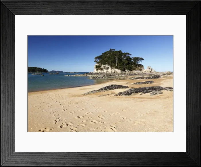 Framed Print : Little Kaiteriteri beach, Little Kaiteriteri, Nelson region, South Island, New Zealand, Pacific Framed Print : Little Kaiteriteri beach, Little Kaiteriteri, Nelson region, South Island, New Zealand, Pacific