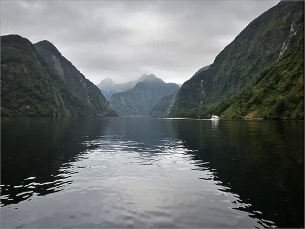 Doubtful Sound, Fiordland National Park, UNESCO World Heritage Site, South Island, New Zealand, Pacific