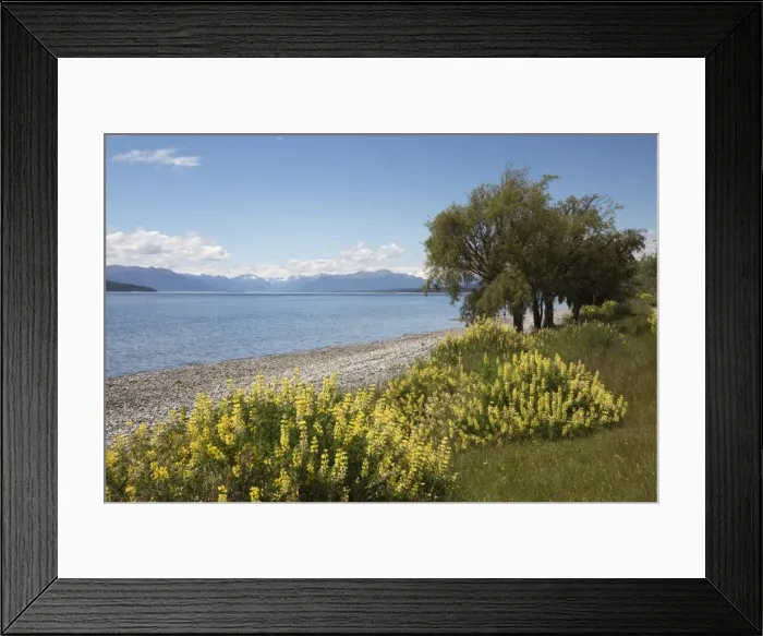 Framed Print : Lake Te Anau, Te Anau, Southland, South Island, New Zealand, Pacific Framed Print : Lake Te Anau, Te Anau, Southland, South Island, New Zealand, Pacific