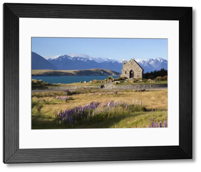Framed Print : Church of the Good Shepherd, Lake Tekapo, Canterbury region, South Island, New Zealand, Pacific Framed Print : Church of the Good Shepherd, Lake Tekapo, Canterbury region, South Island, New Zealand, Pacific