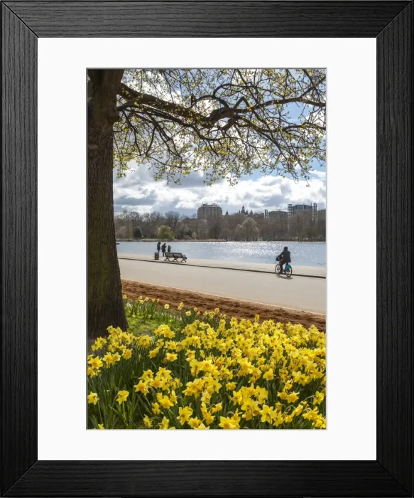 Framed Print : Visitors walking along the Serpentine with daffodils in the foreground, Hyde Park, London, England, United Kingdom, Europe Framed Print : Visitors walking along the Serpentine with daffodils in the foreground, Hyde Park, London, England, United Kingdom, Europe