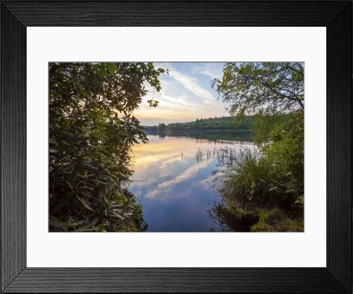Framed Print : Sunset at Virgina Water lake, Surrey, England, United Kingdom, Europe Framed Print : Sunset at Virgina Water lake, Surrey, England, United Kingdom, Europe