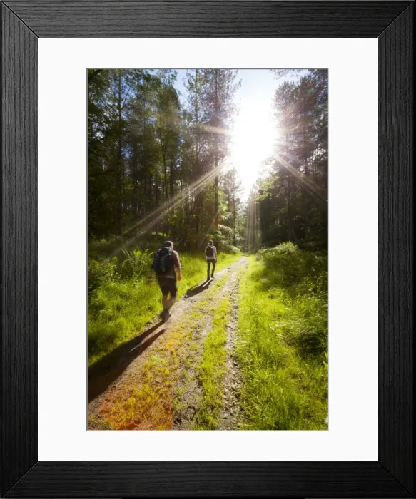Framed Print : Young men hiking on an outdoor adventure trail, The Chilterns, Buckinghamshire, England, United Kingdom, Europe Framed Print : Young men hiking on an outdoor adventure trail, The Chilterns, Buckinghamshire, England, United Kingdom, Europe