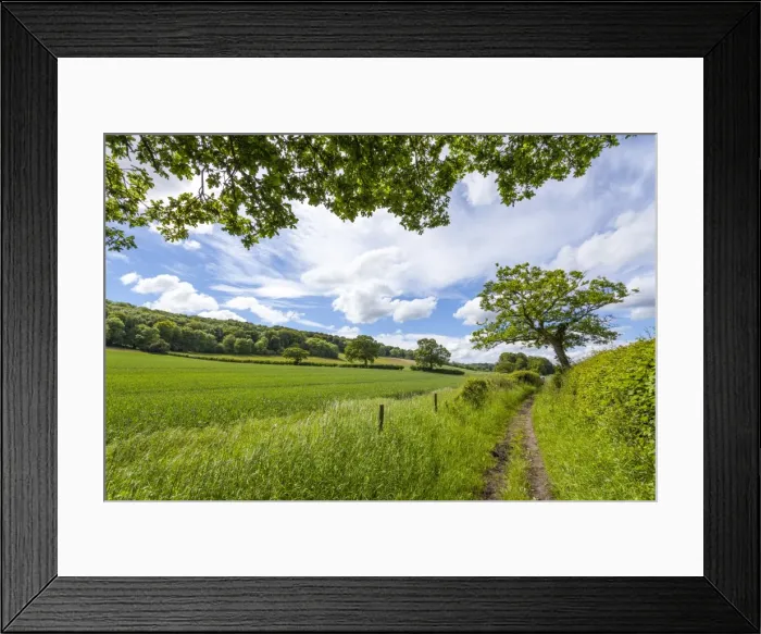 Framed Print : A beautiful day along the Chiltern Walk, The Chilterns, Buckinghamshire, England, United Kingdom, Europe Framed Print : A beautiful day along the Chiltern Walk, The Chilterns, Buckinghamshire, England, United Kingdom, Europe