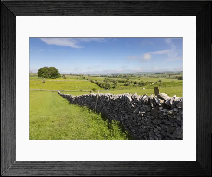 Framed Print : Dry stone wall, farmers fields and a copse of trees, Limestone Way, Monyash, Peak District National Park, Derbyshire, England, United Kingdom, Europe Framed Print : Dry stone wall, farmers fields and a copse of trees, Limestone Way, Monyash, Peak District National Park, Derbyshire, England, United Kingdom, Europe