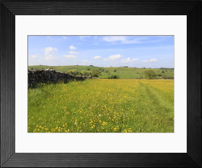 Framed Print : Path through the buttercups and green hills, near Alstonefield, Peak District National Park, Staffordshire, England, Untied Kingdom, Europe Framed Print : Path through the buttercups and green hills, near Alstonefield, Peak District National Park, Staffordshire, England, Untied Kingdom, Europe
