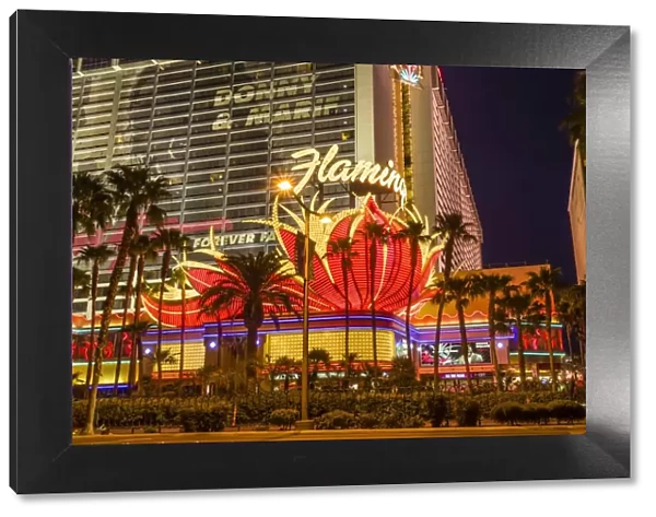 Neon lights, Las Vegas Strip at dusk with Flamingo Facade and palm trees, Las Vegas, Nevada, United States of America, North America