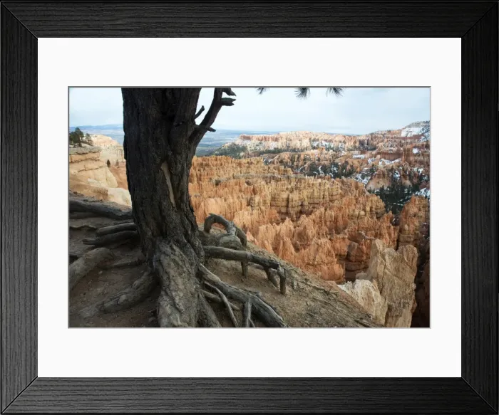 Framed Print : Bryce Canyon National Park, Utah, United States of America, North America Framed Print : Bryce Canyon National Park, Utah, United States of America, North America