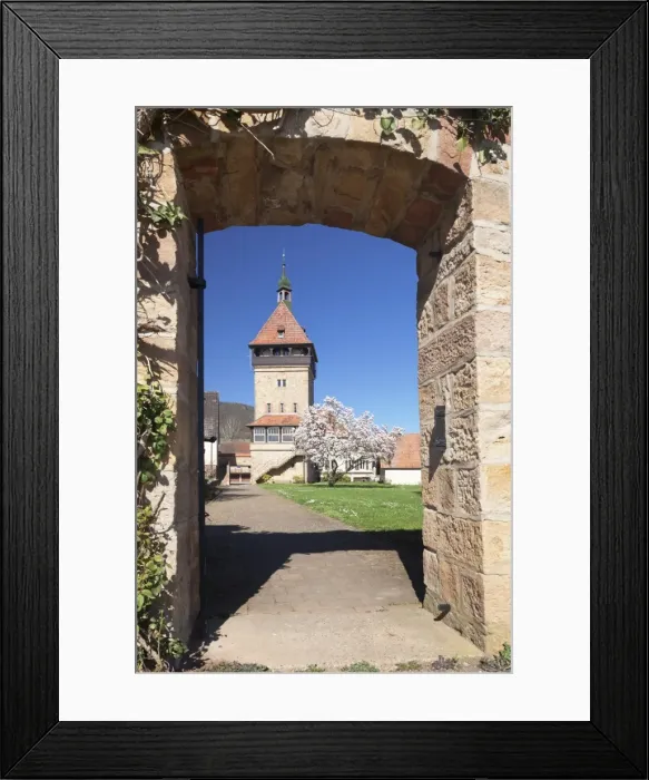 Framed Print : Magnolia Tree Blossom, Geilweilerhof Institute for Grape Breeding, Siebeldingen, Deutsche Weinstrasse (German Wine Road), Rhineland-Palatinate, Germany, Europe Framed Print : Magnolia Tree Blossom, Geilweilerhof Institute for Grape Breeding, Siebeldingen, Deutsche Weinstrasse (German Wine Road), Rhineland-Palatinate, Germany, Europe
