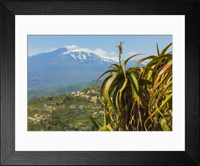 Framed Print : Agave succulent plant and active volcano 3350m Mount Etna seen at this northeast tourist town, Taormina, Catania Province, Sicily, Italy, Mediterranean, Europe Framed Print : Agave succulent plant and active volcano 3350m Mount Etna seen at this northeast tourist town, Taormina, Catania Province, Sicily, Italy, Mediterranean, Europe