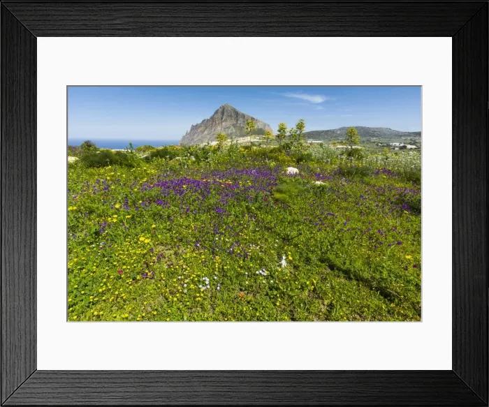 Framed Print : Spring flowers and 659m limestone Monte Cefano, a Nature Reserve and hiking and climbing spot northeast of Trapani, Custonaci, Sicily, Italy, Mediterranean, Europe Framed Print : Spring flowers and 659m limestone Monte Cefano, a Nature Reserve and hiking and climbing spot northeast of Trapani, Custonaci, Sicily, Italy, Mediterranean, Europe