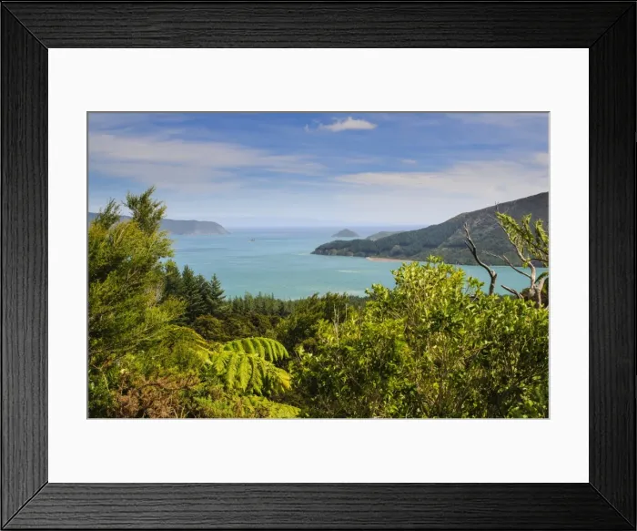 Framed Print : View over the Marlborough Sounds, South Island, New Zealand, Pacific Framed Print : View over the Marlborough Sounds, South Island, New Zealand, Pacific