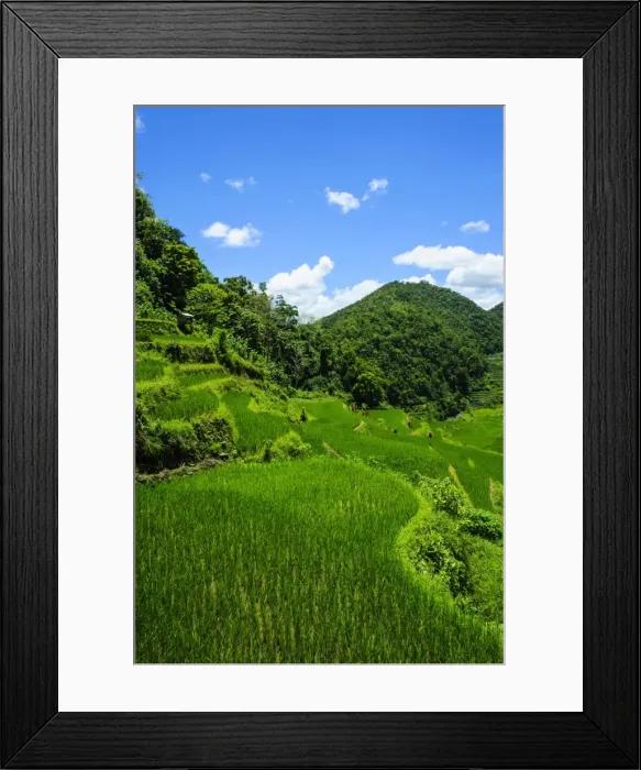 Framed Print : Bangaan in the rice terraces of Banaue, UNESCO World Heritage Site, Northern Luzon, Philippines, Southeast Asia, Asia Framed Print : Bangaan in the rice terraces of Banaue, UNESCO World Heritage Site, Northern Luzon, Philippines, Southeast Asia, Asia