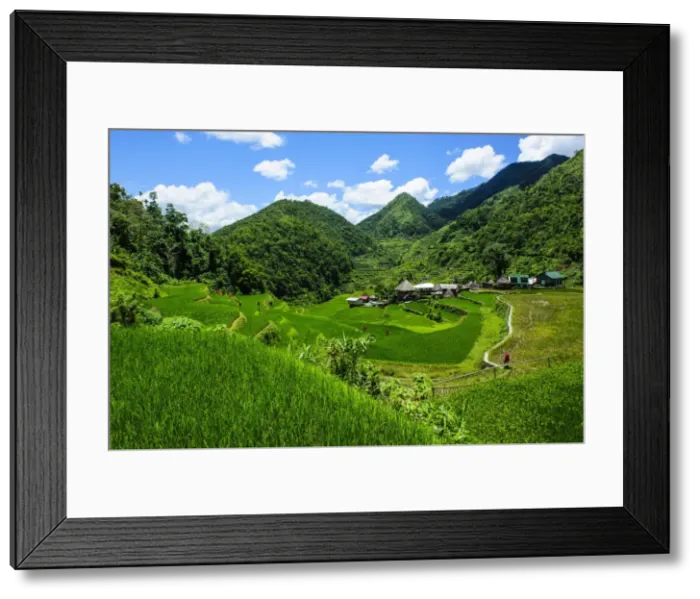 Framed Print : Bangaan in the rice terraces of Banaue, UNESCO World Heritage Site, Northern Luzon, Philippines, Southeast Asia, Asia Framed Print : Bangaan in the rice terraces of Banaue, UNESCO World Heritage Site, Northern Luzon, Philippines, Southeast Asia, Asia
