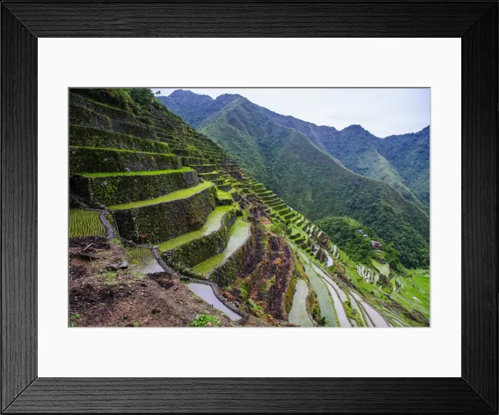 Framed Print : Batad rice terraces, part of the UNESCO World Heritage Site of Banaue, Luzon, Philippines, Southeast Asia, Asia Framed Print : Batad rice terraces, part of the UNESCO World Heritage Site of Banaue, Luzon, Philippines, Southeast Asia, Asia