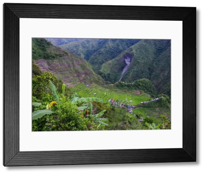 Framed Print : Batad rice terraces, part of the UNESCO World Heritage Site of Banaue, Luzon, Philippines, Southeast Asia, Asia Framed Print : Batad rice terraces, part of the UNESCO World Heritage Site of Banaue, Luzon, Philippines, Southeast Asia, Asia