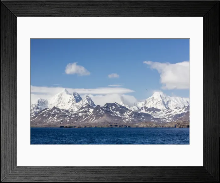 Framed Print : View of snow-capped mountains on approach to Stromness Harbor, South Georgia, UK Overseas Protectorate, Polar Regions Framed Print : View of snow-capped mountains on approach to Stromness Harbor, South Georgia, UK Overseas Protectorate, Polar Regions