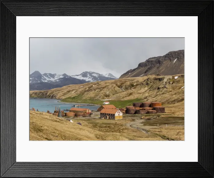 Framed Print : The abandoned and recently restored whaling station at Grytviken, South Georgia, UK Overseas Protectorate, Polar Regions Framed Print : The abandoned and recently restored whaling station at Grytviken, South Georgia, UK Overseas Protectorate, Polar Regions