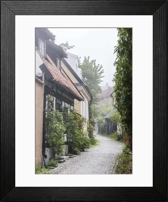 Framed Print : View of houses in the town of Visby, UNESCO World Heritage Site, Gotland Island, Sweden, Scandinavia, Europe Framed Print : View of houses in the town of Visby, UNESCO World Heritage Site, Gotland Island, Sweden, Scandinavia, Europe