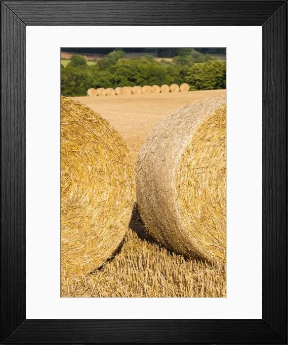 Framed Print : Hay bales in The Cotswolds, Longborough, Gloucestershire, England, United Kingdom, Europe Framed Print : Hay bales in The Cotswolds, Longborough, Gloucestershire, England, United Kingdom, Europe