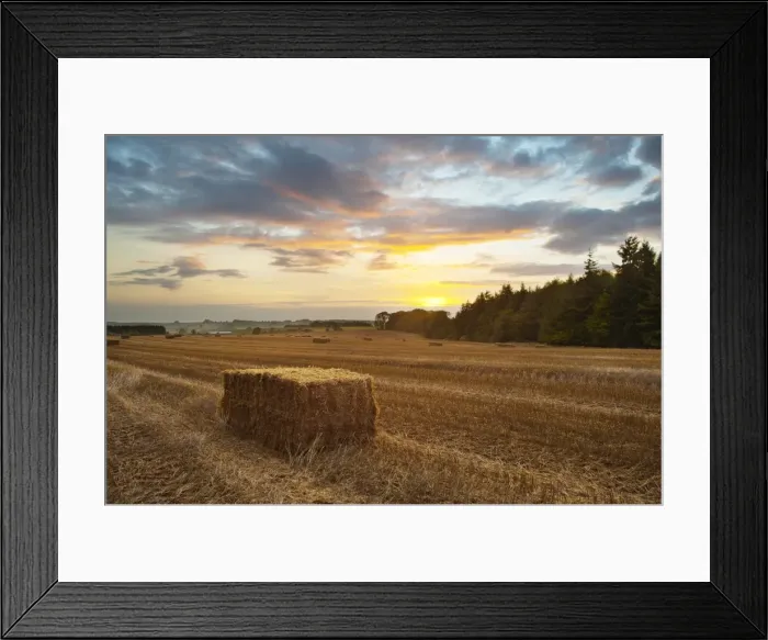 Framed Print : Hay bale at sunset, Broadway, The Cotswolds, Gloucestershire, England, United Kingdom, Europe Framed Print : Hay bale at sunset, Broadway, The Cotswolds, Gloucestershire, England, United Kingdom, Europe