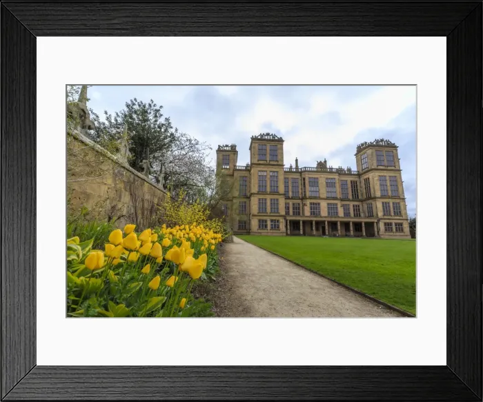 Framed Print : Tulip border, pathway and lawn in spring at Hardwick Hall, near Chesterfield, Derbyshire, England, United Kingdom, Europe