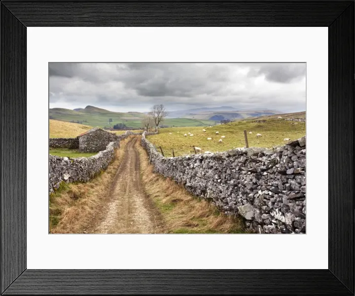 Framed Print : The Pennine Bridle Way near Stainforth in Ribblesdale, Yorkshire Dales, Yorkshire, England, United Kingdom, Europe Framed Print : The Pennine Bridle Way near Stainforth in Ribblesdale, Yorkshire Dales, Yorkshire, England, United Kingdom, Europe