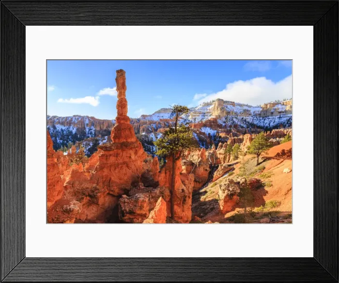 Framed Print : Large hoodoo lit by early morning sun, with snow and pine trees, Peekaboo Loop Trail, Bryce Canyon National Park, Utah, United States of America, North America Framed Print : Large hoodoo lit by early morning sun, with snow and pine trees, Peekaboo Loop Trail, Bryce Canyon National Park, Utah, United States of America, North America