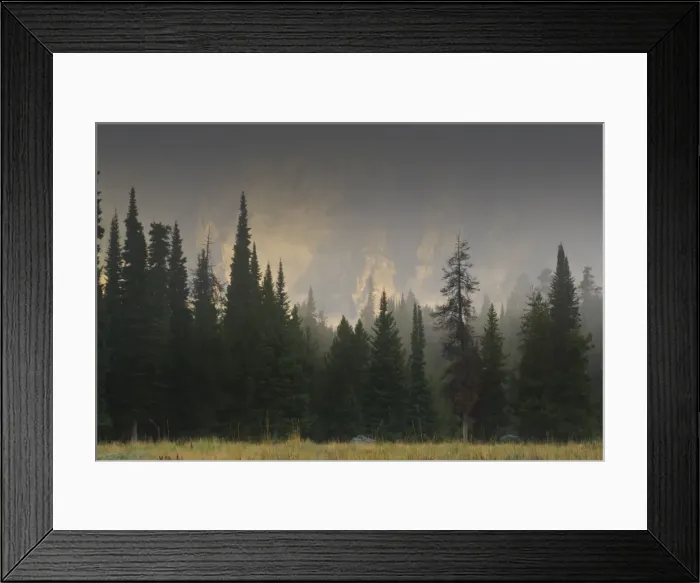 Framed Print : Hazy Teton Range and pine trees near Phelps Lake, Grand Teton National Park, Wyoming, United States of America, North America Framed Print : Hazy Teton Range and pine trees near Phelps Lake, Grand Teton National Park, Wyoming, United States of America, North America