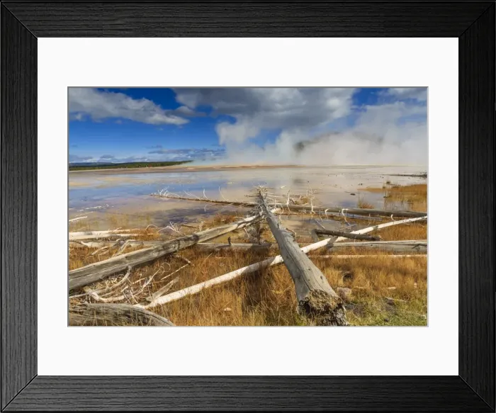 Framed Print : Fallen lodgepole pines, Grand Prismatic Spring, Midway Geyser Basin, Yellowstone National Park, UNESCO World Heritage Site, Wyoming, United States of America, North America Framed Print : Fallen lodgepole pines, Grand Prismatic Spring, Midway Geyser Basin, Yellowstone National Park, UNESCO World Heritage Site, Wyoming, United States of America, North America