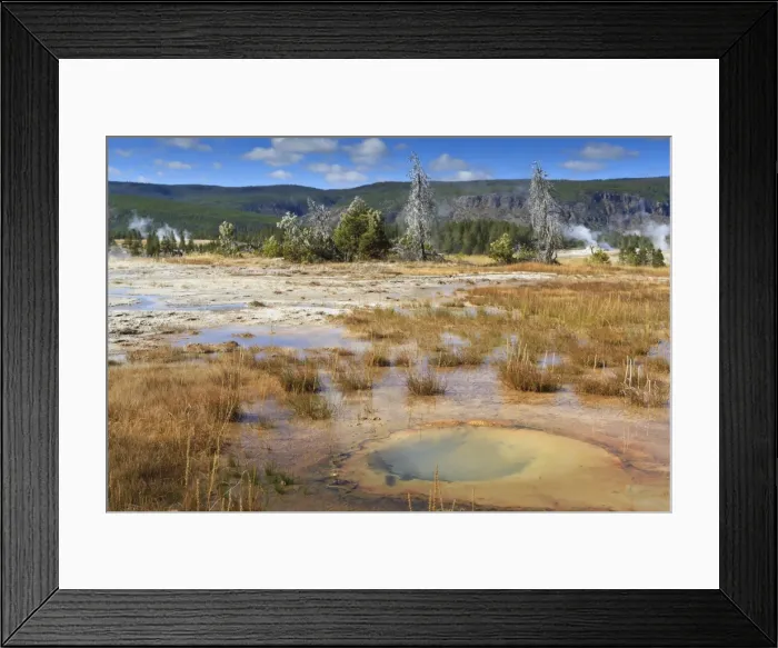 Framed Print : Trees crusted in frost and thermal features, cold Autumn (Fall) day, Upper Geyser Basin, Yellowstone National Park, UNESCO World Heritage Site, Wyoming, United States of America, North America Framed Print : Trees crusted in frost and thermal features, cold Autumn (Fall) day, Upper Geyser Basin, Yellowstone National Park, UNESCO World Heritage Site, Wyoming, United States of America, North America