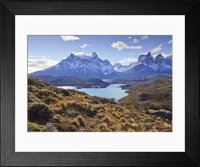 Framed Print : Grasses, Lago Pehoe and the Cordillera del Paine, Torres del Paine National Park, Patagonia, Chile, South America Framed Print : Grasses, Lago Pehoe and the Cordillera del Paine, Torres del Paine National Park, Patagonia, Chile, South America