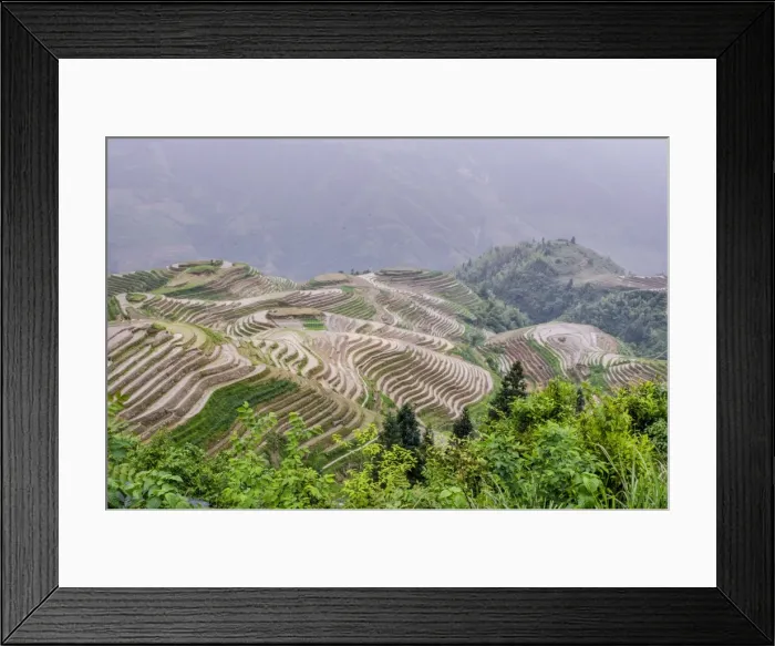 Framed Print : Dragon Spine Rice Terraces, Longsheng, Guangxi, China, Asia Framed Print : Dragon Spine Rice Terraces, Longsheng, Guangxi, China, Asia