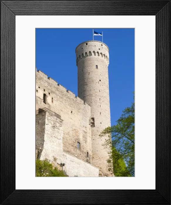 Framed Print : The Pikk Hermann Tower, part of the Toompea Castle, UNESCO World Heritage Site, Tallinn, Estonia, Baltic States, Europe Framed Print : The Pikk Hermann Tower, part of the Toompea Castle, UNESCO World Heritage Site, Tallinn, Estonia, Baltic States, Europe