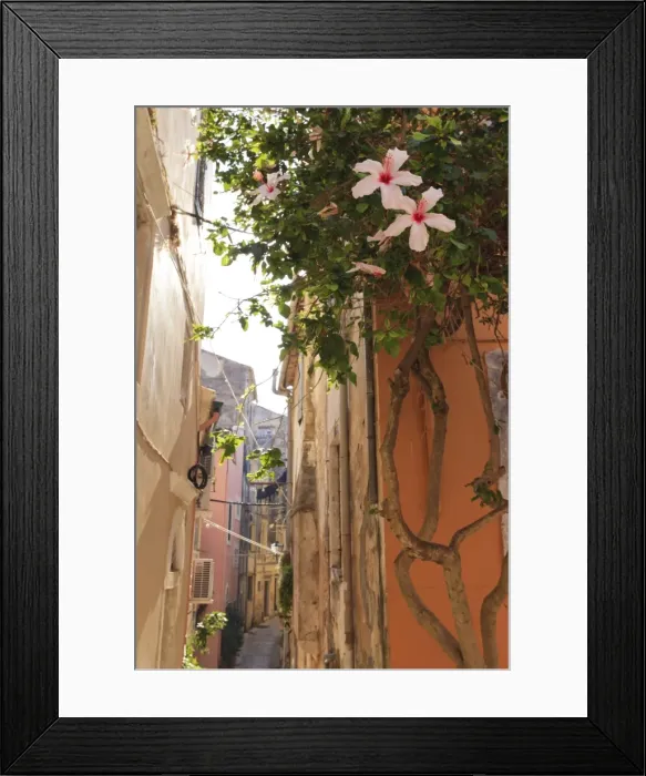 Framed Print : Narrow street and hibiscus flowers, Old Town, Corfu Town, UNESCO World Heritage Site, Corfu, Ionian Islands, Greek Islands, Greece, Europe Framed Print : Narrow street and hibiscus flowers, Old Town, Corfu Town, UNESCO World Heritage Site, Corfu, Ionian Islands, Greek Islands, Greece, Europe