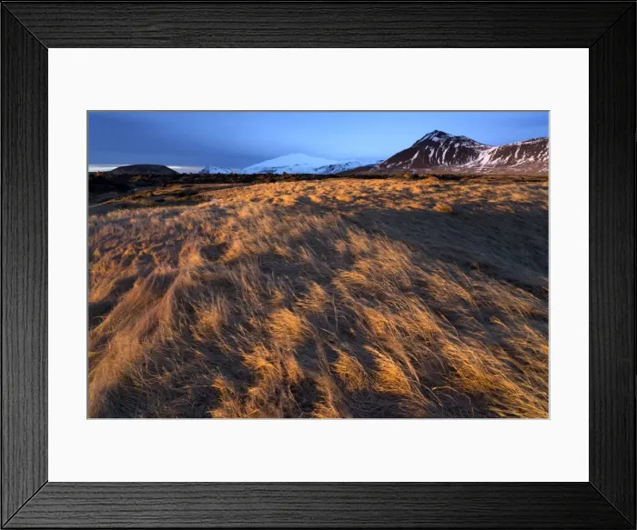 Framed Print : Grassy landscape and snow-covered mountains bathed in winter light in the hamlet of Budir in Stadarsveit on the Snaefellsnes Peninsula, Iceland, Polar Regions Framed Print : Grassy landscape and snow-covered mountains bathed in winter light in the hamlet of Budir in Stadarsveit on the Snaefellsnes Peninsula, Iceland, Polar Regions