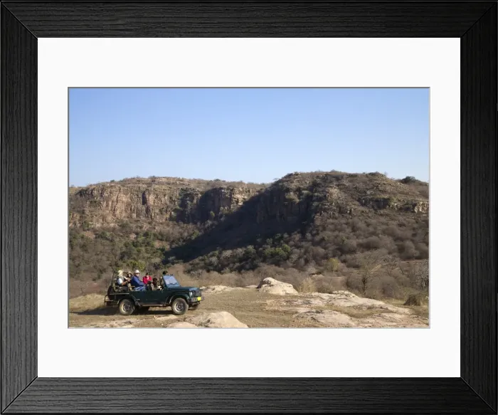 Framed Print : Tourists on safari in open jeep, Ranthambore National Park, Rajasthan, India, Asia Framed Print : Tourists on safari in open jeep, Ranthambore National Park, Rajasthan, India, Asia