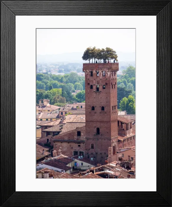 Framed Print : Torre Guinigi as seen from Torre delle Ore, Lucca, Tuscany, Italy, Europe Framed Print : Torre Guinigi as seen from Torre delle Ore, Lucca, Tuscany, Italy, Europe