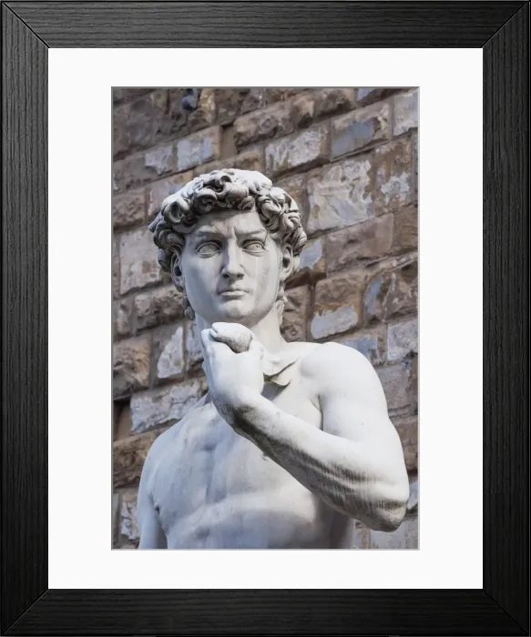 Framed Print : The David, by Michelangelo, Palazzo Vecchio, Piazza Signoria, Florence (Firenze), UNESCO World Heritage Site, Tuscany, Italy, Europe Framed Print : The David, by Michelangelo, Palazzo Vecchio, Piazza Signoria, Florence (Firenze), UNESCO World Heritage Site, Tuscany, Italy, Europe