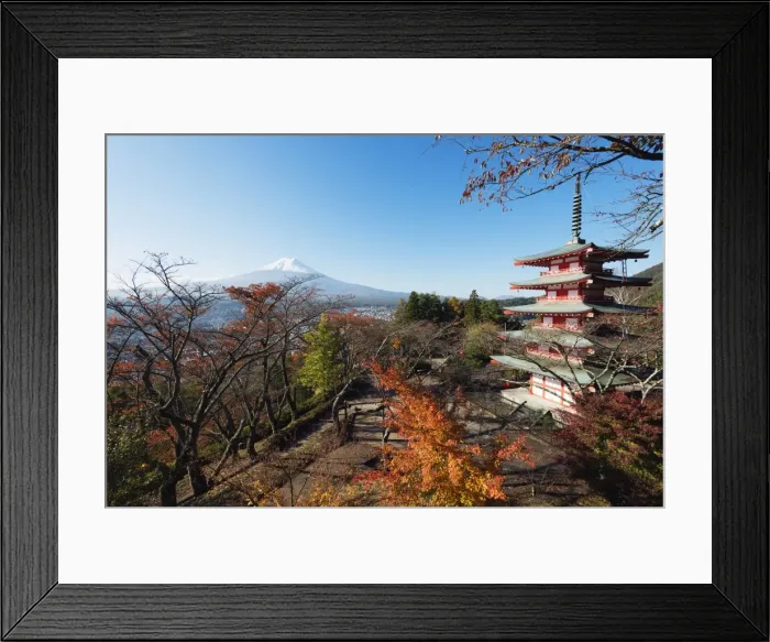 Framed Print : Mount Fuji 3776m and Arakura Sengen Jinja Shinto shrine, UNESCO World Heritage Site, Honshu, Japan, Asia Framed Print : Mount Fuji 3776m and Arakura Sengen Jinja Shinto shrine, UNESCO World Heritage Site, Honshu, Japan, Asia