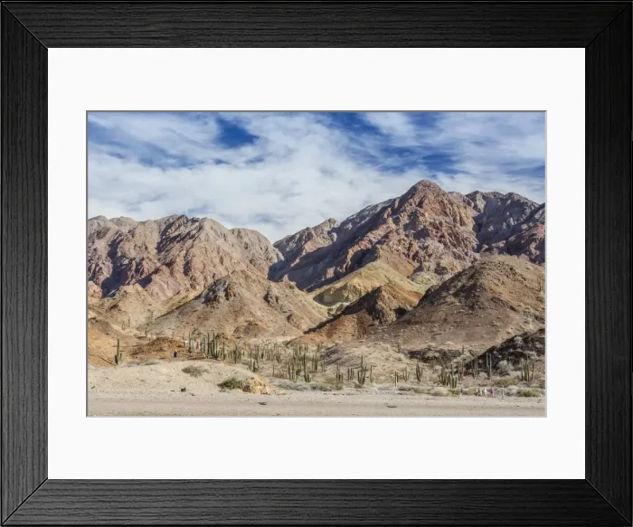 Framed Print : Cardon cactus on the western side of Isla Angel de la Guarda, Gulf of California, Baja California, Mexico, North America Framed Print : Cardon cactus on the western side of Isla Angel de la Guarda, Gulf of California, Baja California, Mexico, North America