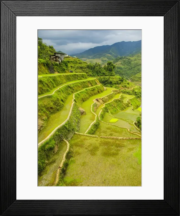 Framed Print : The rice terraces of Banaue, UNESCO World Heritage Site, Northern Luzon, Philippines, Southeast Asia, Asia Framed Print : The rice terraces of Banaue, UNESCO World Heritage Site, Northern Luzon, Philippines, Southeast Asia, Asia