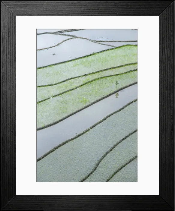 Framed Print : The rice terraces of Banaue, UNESCO World Heritage Site, Northern Luzon, Philippines, Southeast Asia, Asia Framed Print : The rice terraces of Banaue, UNESCO World Heritage Site, Northern Luzon, Philippines, Southeast Asia, Asia
